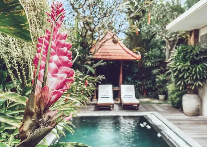 Hotel Kiwi